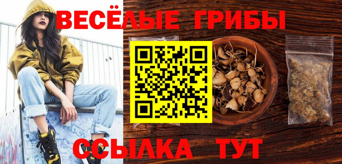 Псилоцибиновые грибы Psilocybine cubensis Сатка